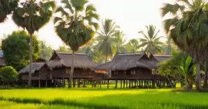 ភាសាខ្មែរជិតស្និទ្ធជាងភាសាថៃ ឬវៀតណាម?