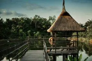 a wooden dock with a thatched roof over water